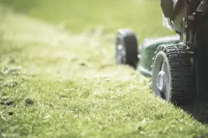 A best lawn mower under 200 is working