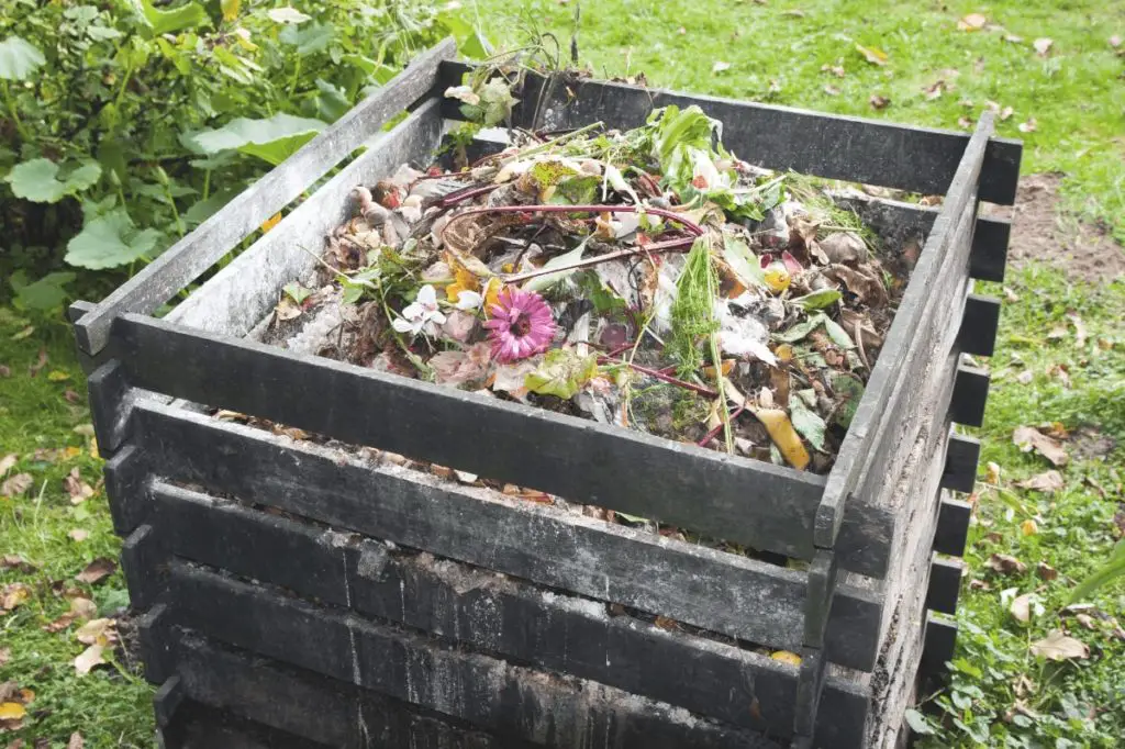 backyard composting