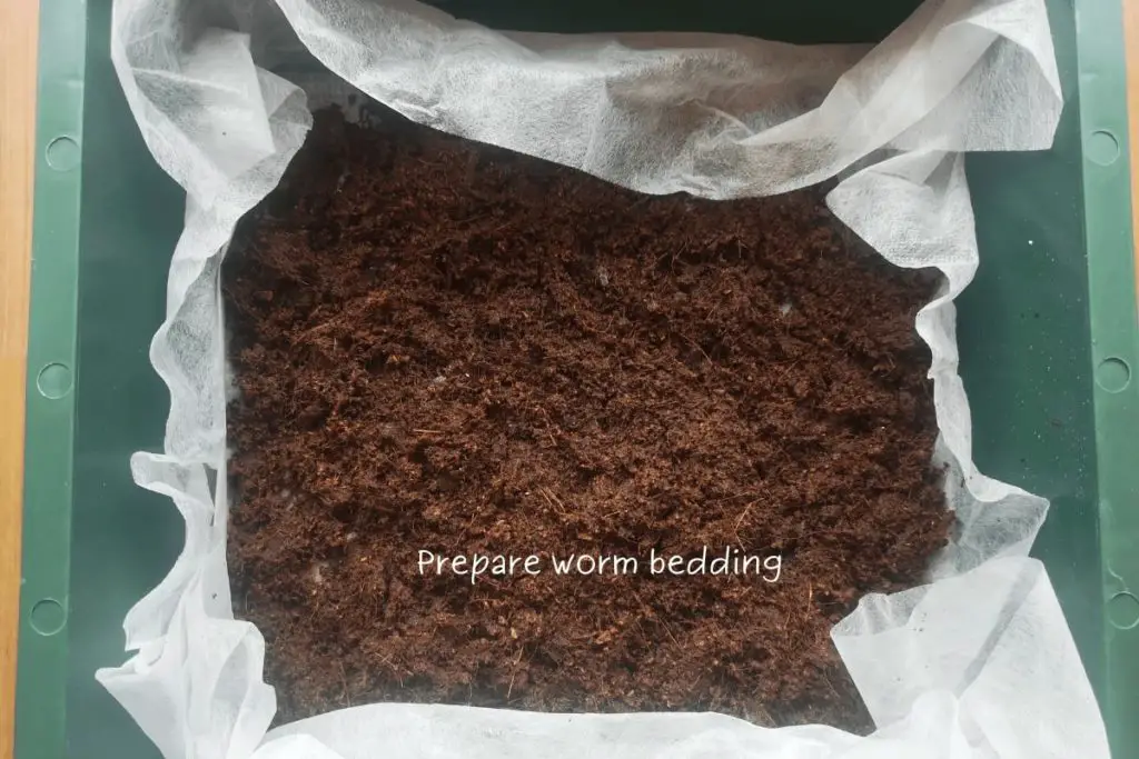 add bedding for the worms